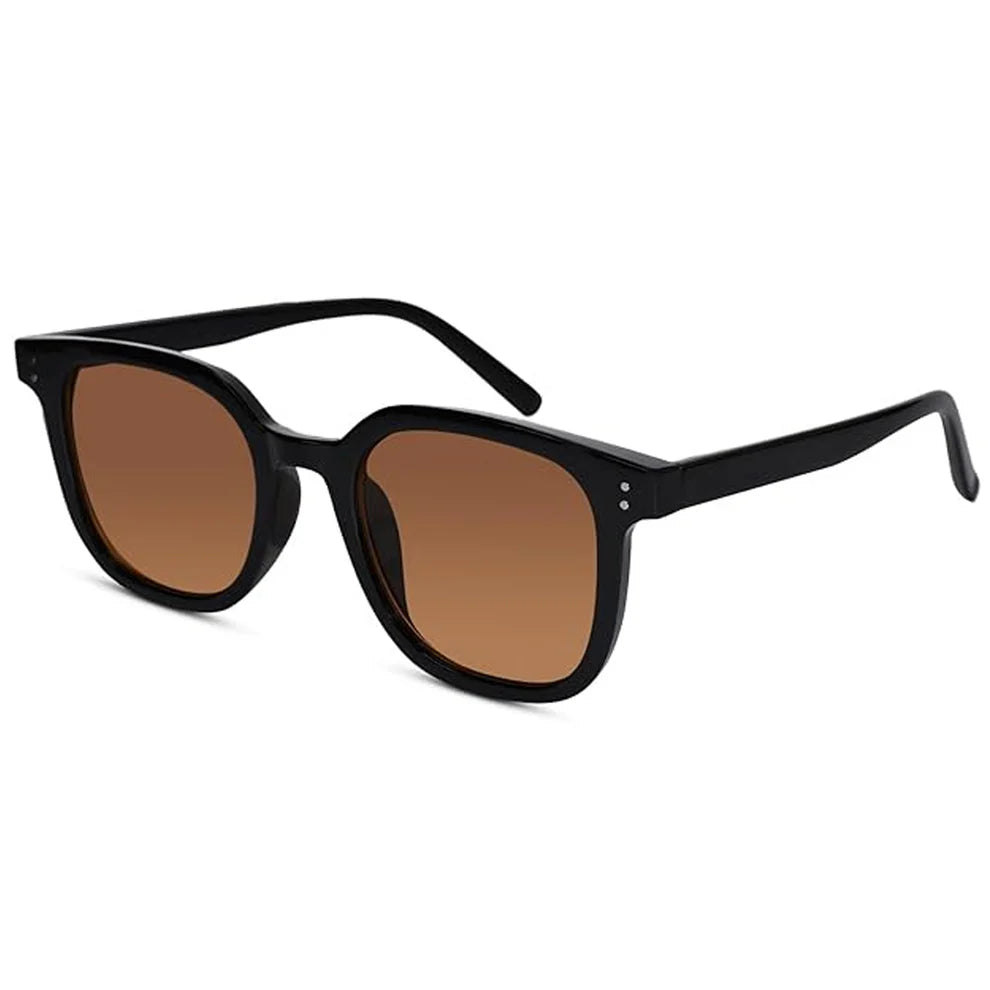 RETRO Brown Tinted Wayfarer Sunglasses