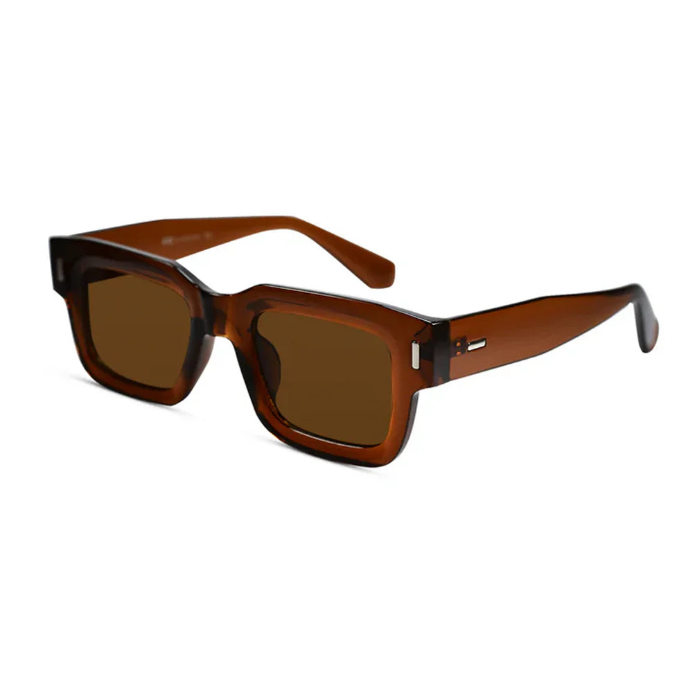 Black Brown Tint Bold Wayfarer Sunglasses