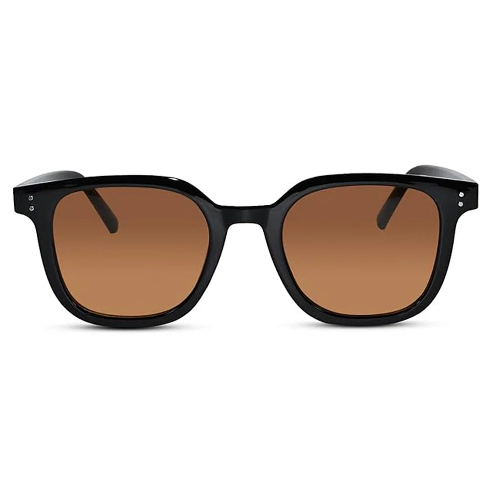 RETRO Brown Tinted Wayfarer Sunglasses