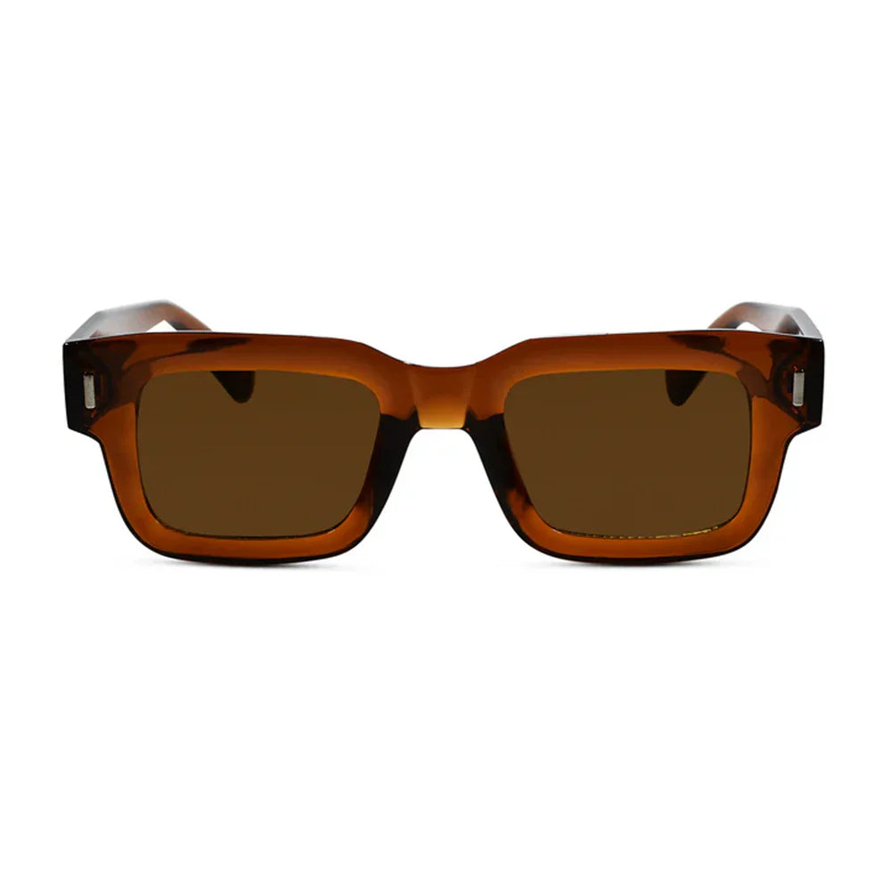Black Brown Tint Bold Wayfarer Sunglasses