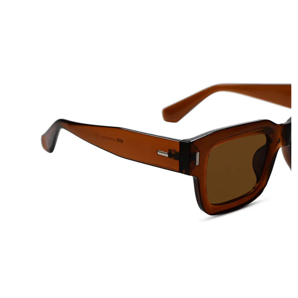 Black Brown Tint Bold Wayfarer Sunglasses